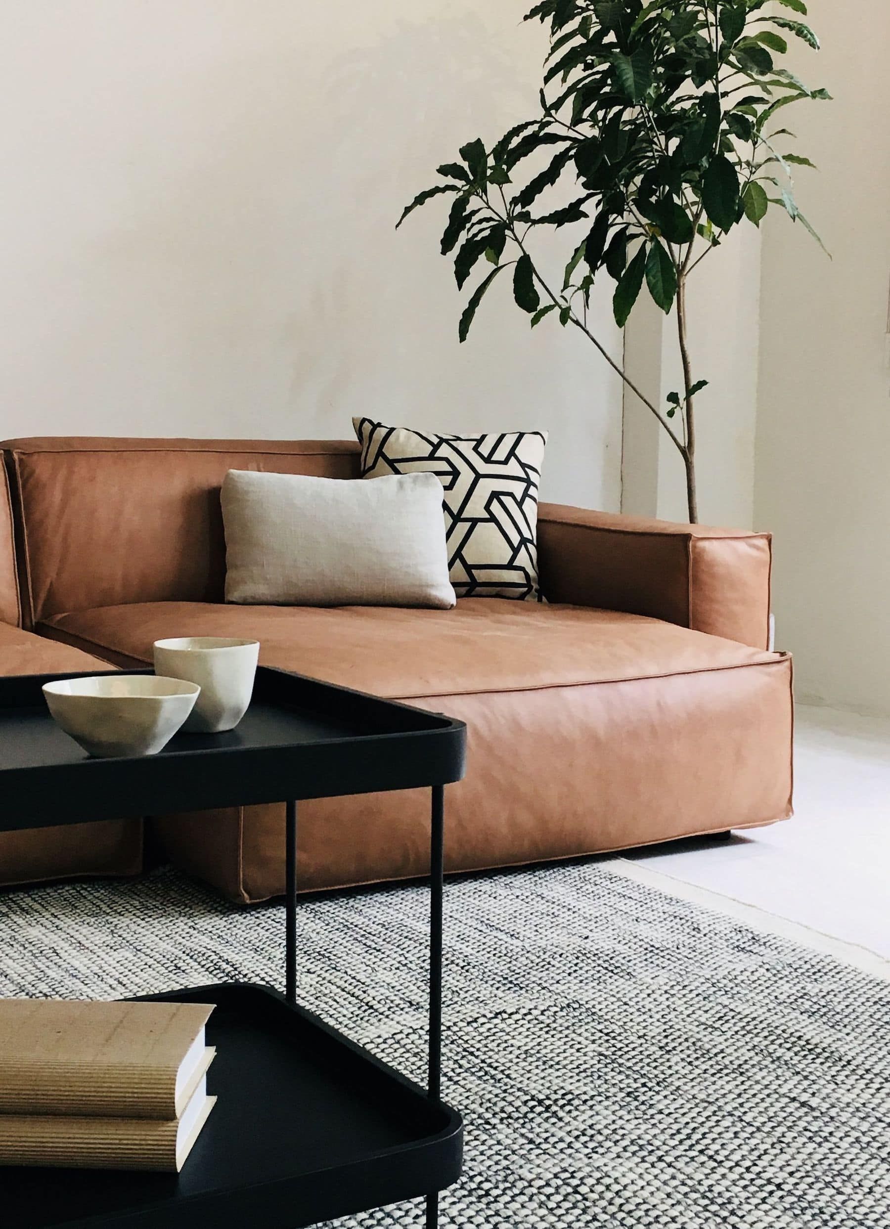 Brown Sofa – A practical Choice for Your  Living Room