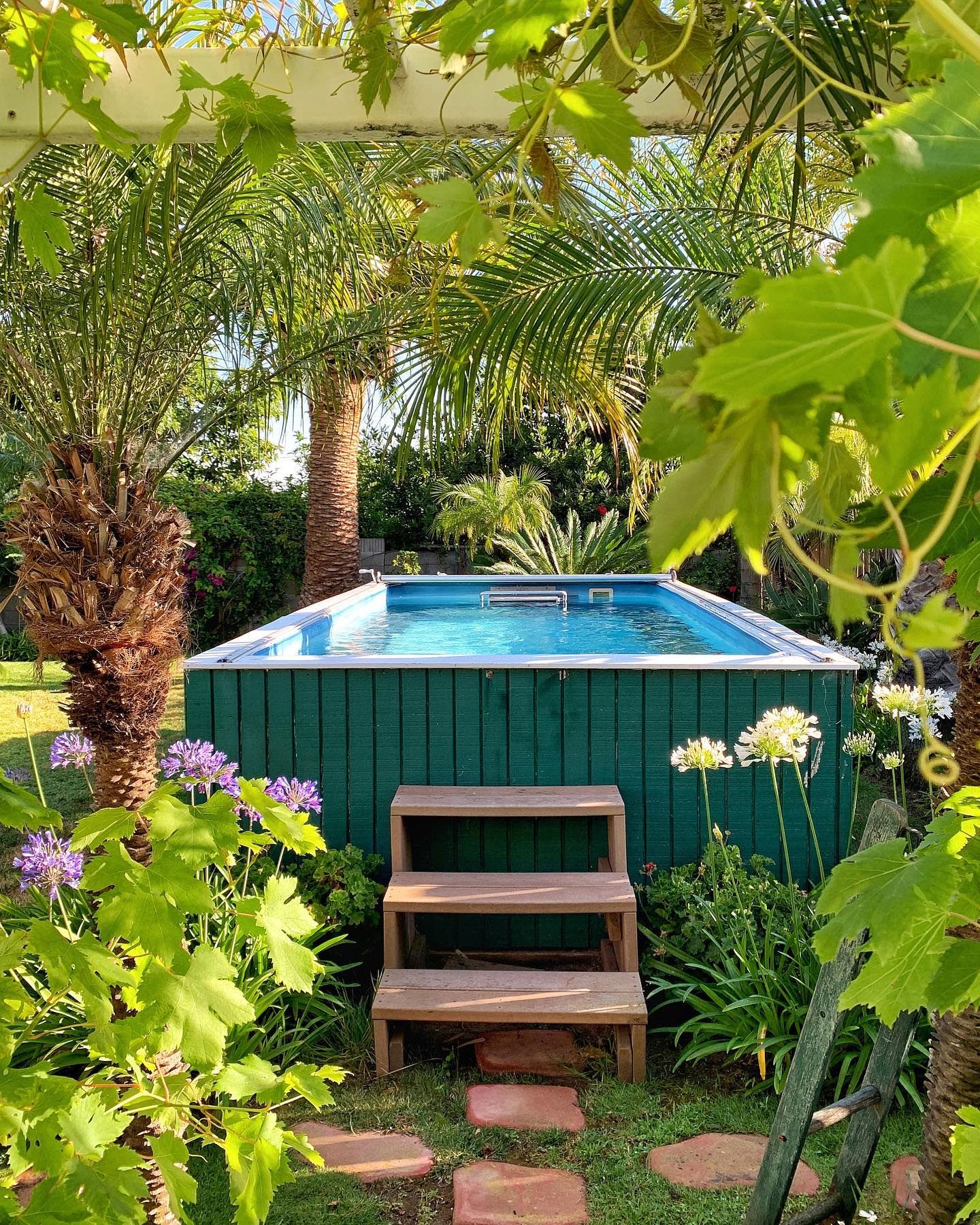 Landscaping Ideas Around Above Ground Pool: Food for Thought
