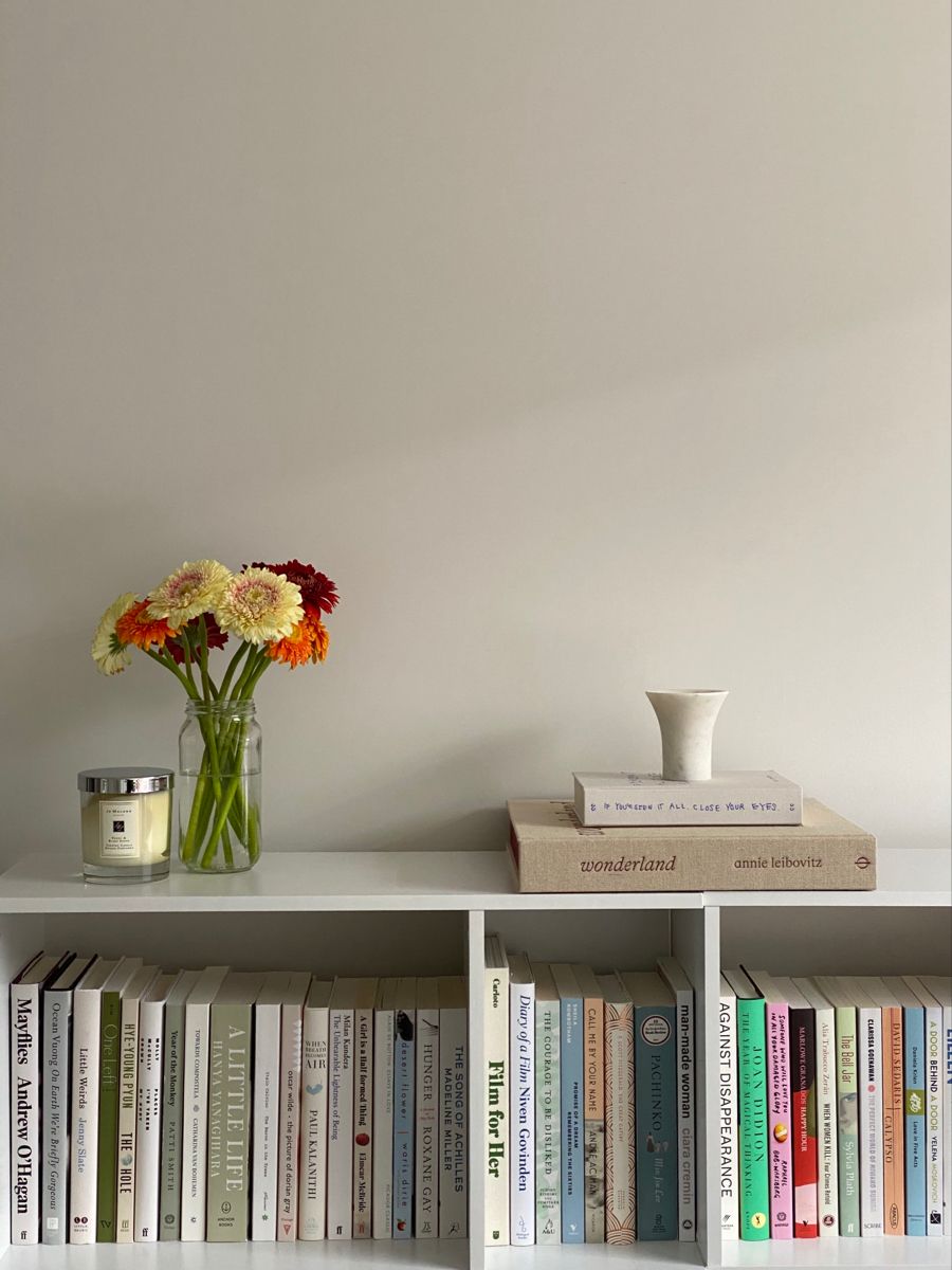 Small Bookshelf for Decor and Book  Organization