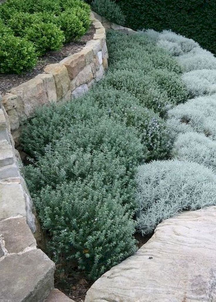 Know some front yard landscaping ideas