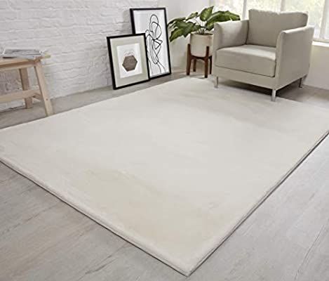 Why you need a extra large area rugs for living room?