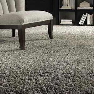 1700513295_frieze-carpet.jpg