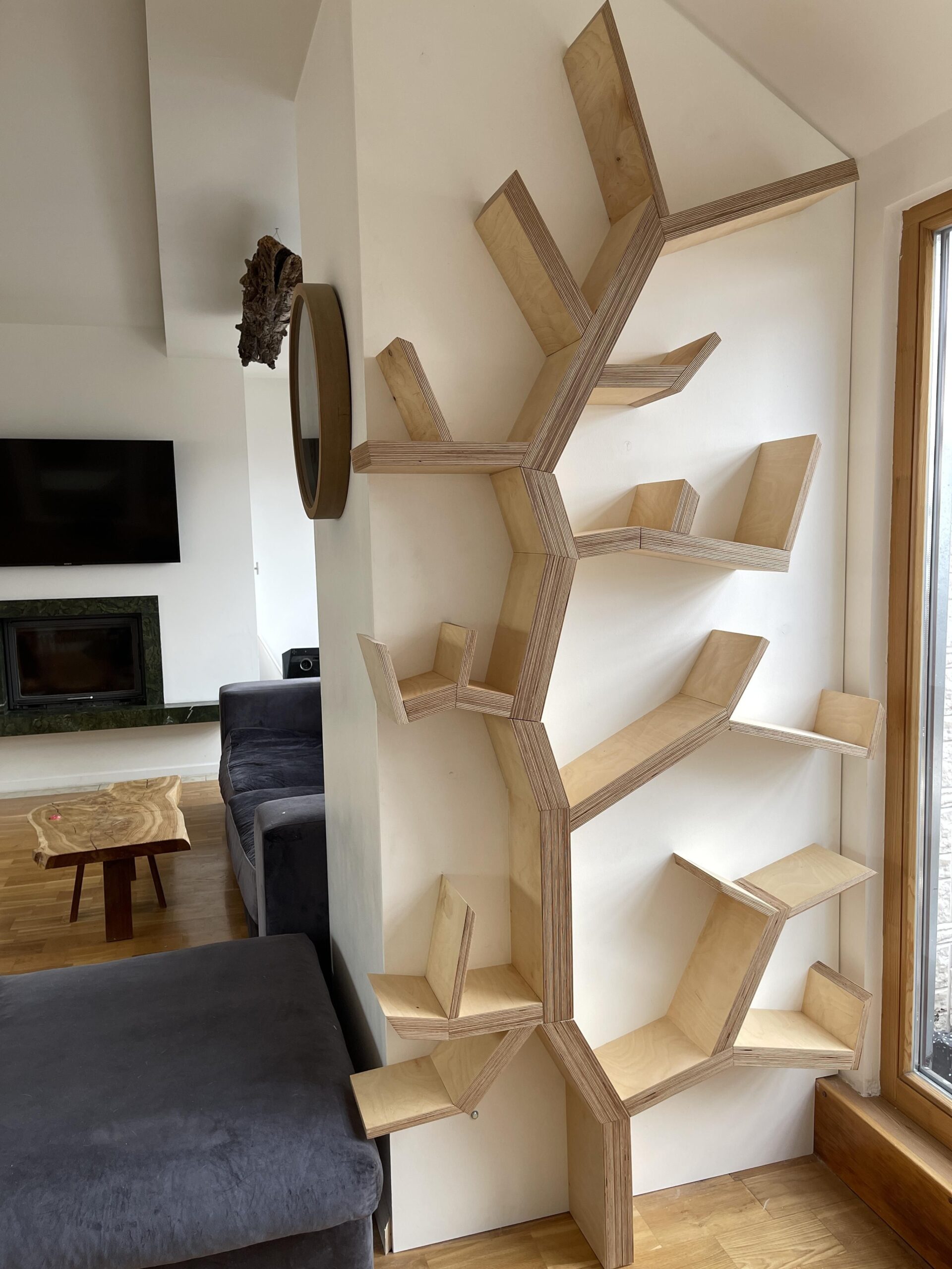 How To Pick Cool Bookshelves For Your Home?