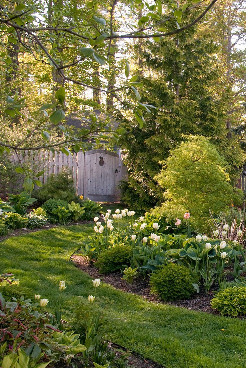 Creating a Stunning Oasis: Small Garden
Design Ideas