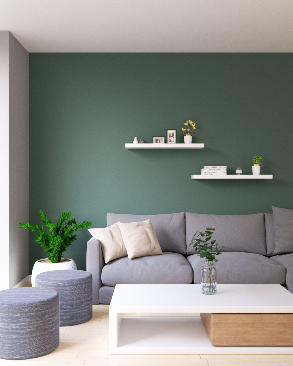 Accent Wall Colors Living Room Ideas