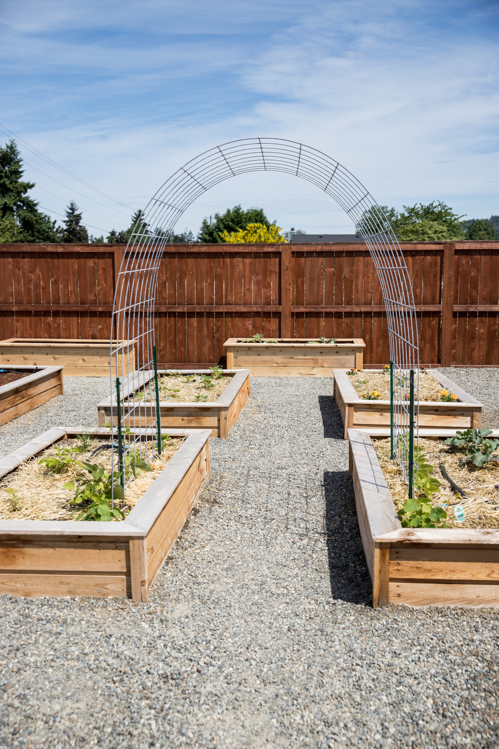 The Benefits of Raised Bed Gardening