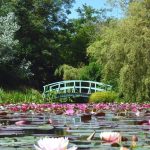 bennetts water gardens (weymouth, england): top tips before you go (with  photos) LTUBPEN