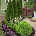 landscape ideas 14 inexpensive landscape plants TSRFTRT