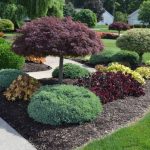 landscape ideas ... amazing of lanscaping ideas 17 best landscaping ideas on pinterest  front KIIHOOU