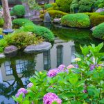 make your water gardens with trendy pond designs - carehomedecor LHDWILD