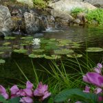 water gardens RYAVTYK