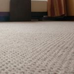 best carpet carpet cleaning TCNHCIR