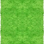 green rug neon green shaggy raggy rug XHKIQTP
