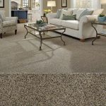 Shaw carpet shaw carpeting in stainmaster nylon. textured construction in style  palladio, color bordeaux. BNNOBQJ