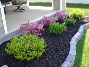 Front Yard Landscaping Ideas On A Budget: Some Ideas to Consider ...