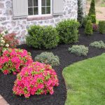 low maintenance landscaping ideas front yard low maintenance evergreen border with a pop of color SIKGRDH