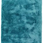 turquoise area rugs at Rug Studio