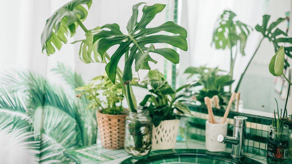 Zen Oasis:⁣ Incorporate plants for a tranquil bathroom experience