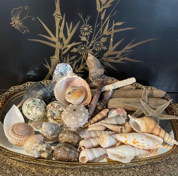 Driftwood accents for a serene coastal⁣ feel in your boho bathroom