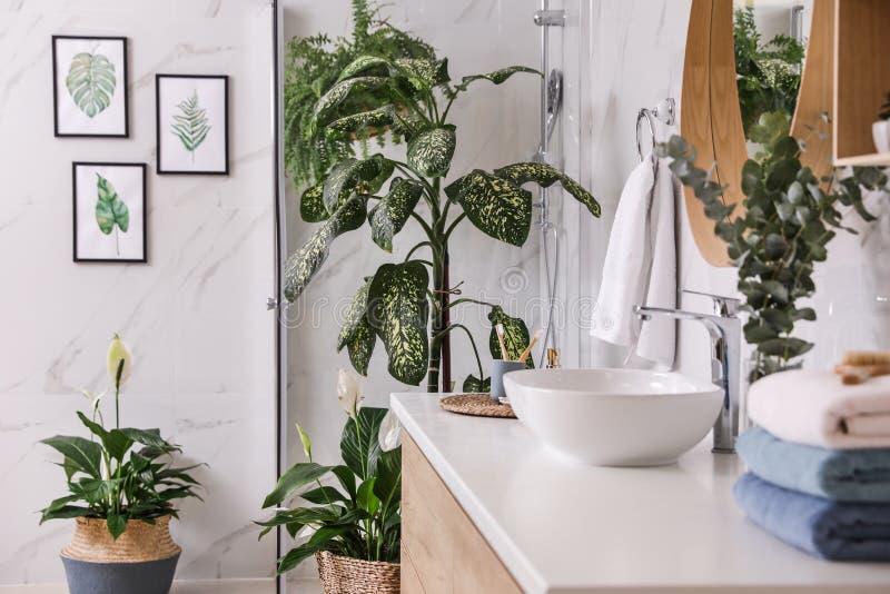 Potted Plants Adding ⁢Freshness to Your Modern Bathroom Space