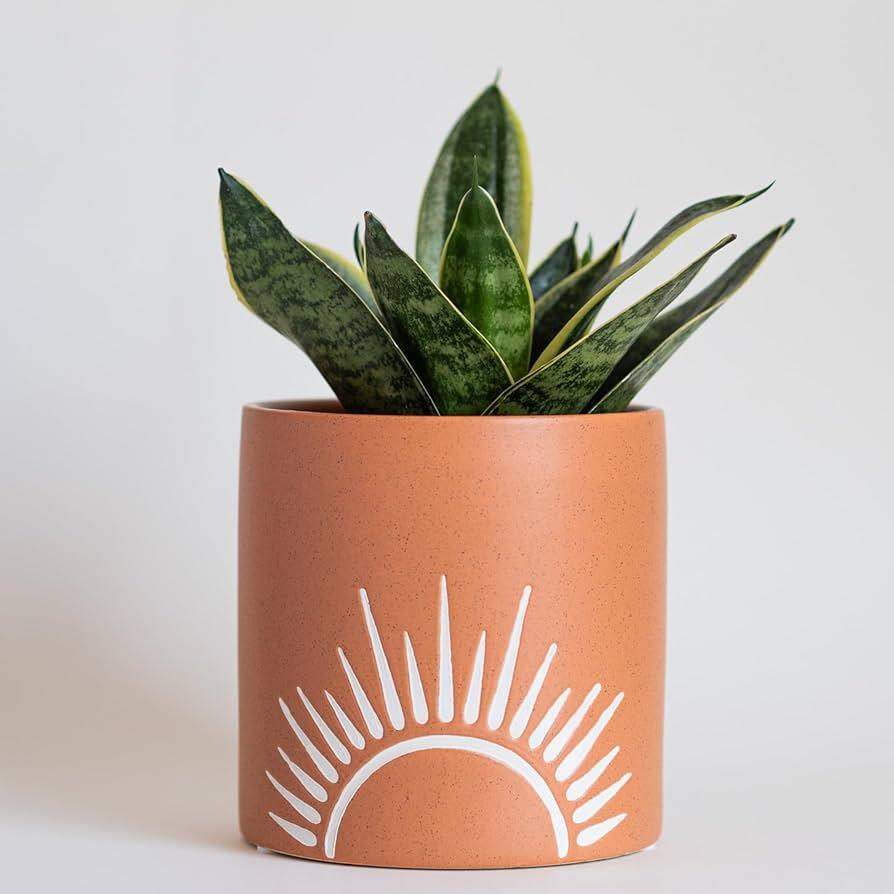 Terracotta ⁣pots to add rustic charm and earthiness to your boho bathroom