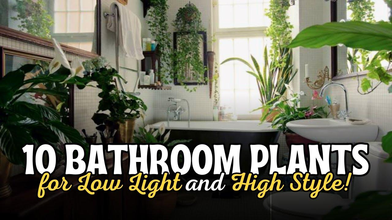 Botanical bathroom: surround yourself​ with greens for refreshing vibes