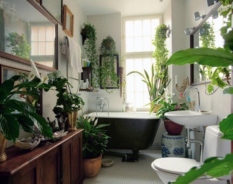 Botanical Bliss: Transform your bathroom into a lush plant sanctuary