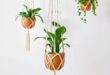 Elevate Your Space: The Art of Macrame Plant Hangers in Modern Decor