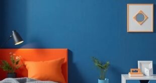 Exploring the Perfect Palette: Inspiring Color Ideas for Boys’ Rooms