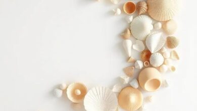 Transform Your Space: Crafting Coastal-Inspired Seashell Wall Art
