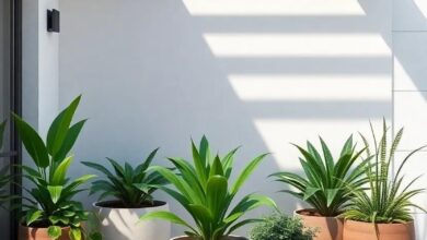 Transform Your Patio: Inspiring Ideas for Stylish Large Planters