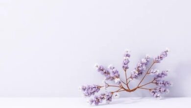 Serene Harmony: Exploring the Best Soft Lavender and Gray Color Palettes