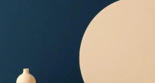 Harmonizing Depth and Warmth: The Allure of Navy Blue and Soft Beige