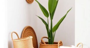 Embracing Boho Eclectic Style: Elevate Your Space with Woven Baskets