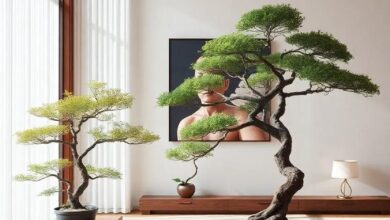 Embracing Tranquility: Designing a Japanese-Inspired Living Room with Bonsai Trees