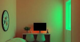 Revamping Teen Spaces: The Bright Allure of Neon Green for Boys’ Rooms