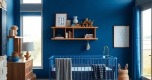 Transforming Spaces: The Allure of Cobalt Blue in Boys’ Nursery Design