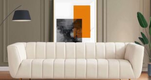 Our Take on the Genuine Leather Sofa: Stylish Comfort Reviewed