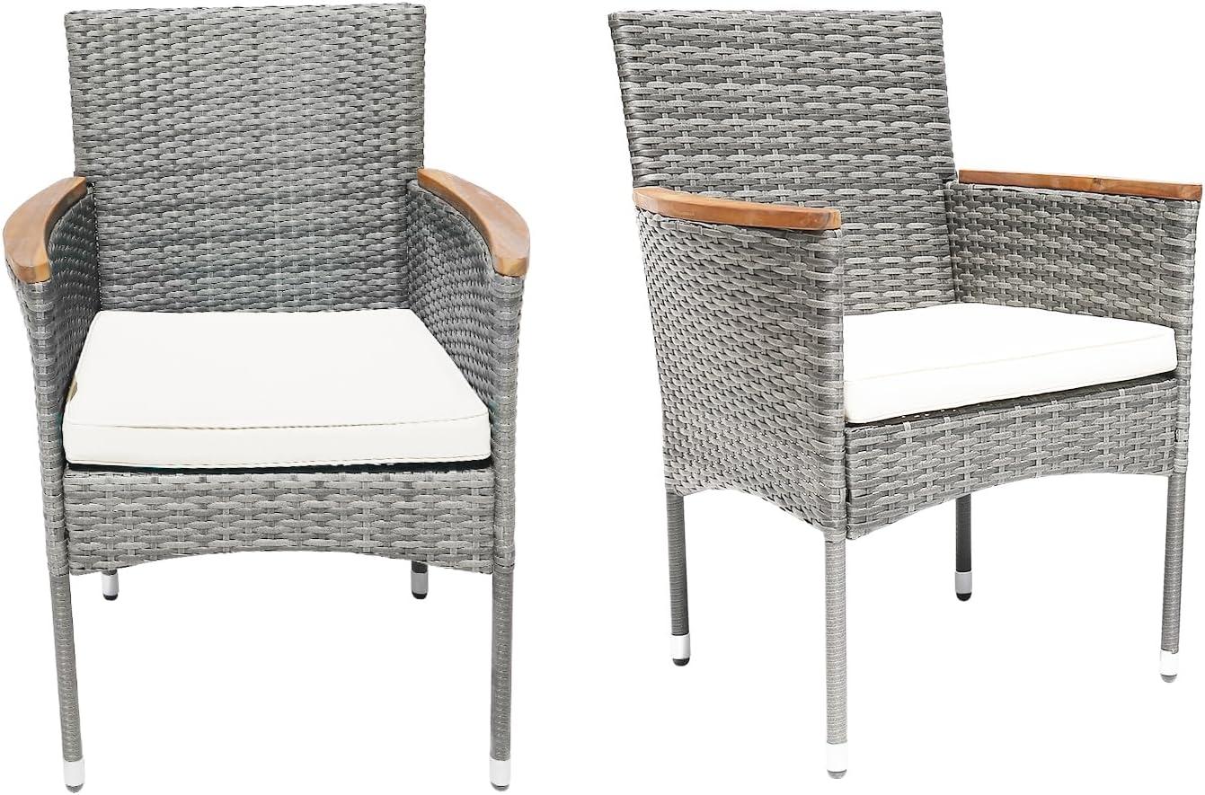 Our Honest Take on the Cozy 2-Piece Outdoor Patio Chairs Set