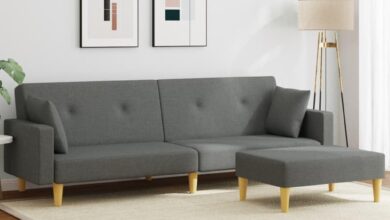Our Honest Take: Cozy & Convertible 2-Seater Sofa Bed Set Review