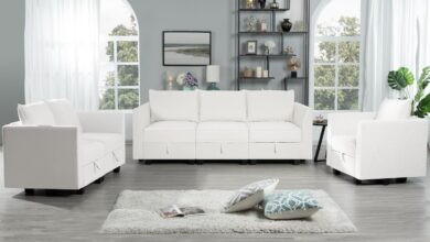 Our Honest Take: Naomi Home Elizabeth Sofa Set’s Comfort & Color Mix-Up