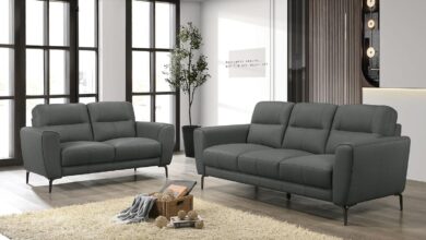 Our Honest Take on the Anthracite Gray Leather Sofa Set