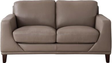 Our Take on the Hydeline Soma Loveseat: Stylish Comfort Reviewed