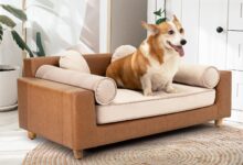 DCee Luxury Large Dog Sofa Review: Cozy Comfort for All Pets