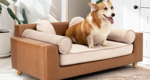 DCee Luxury Large Dog Sofa Review: Cozy Comfort for All Pets