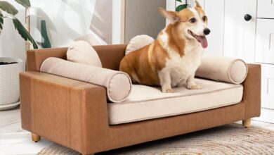 DCee Luxury Large Dog Sofa Review: Cozy Comfort for All Pets