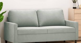 Our Take on the Cozy Velvet 2-Seater Sofa with Modern Flair