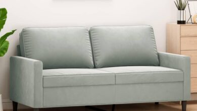 Our Take on the Cozy Velvet 2-Seater Sofa with Modern Flair