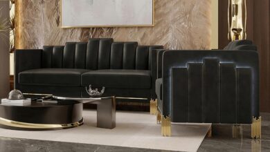 Our Take on the Empire 2-Piece Sofa Set: Style and Comfort Combined