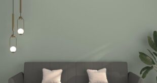 Our Take on the Cozy 2-Seater Velvet Sofa Bed for Any Space